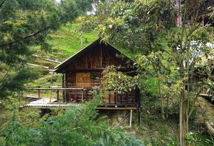 ホテル Cabañas Y Restaurante El Viejo Tambo