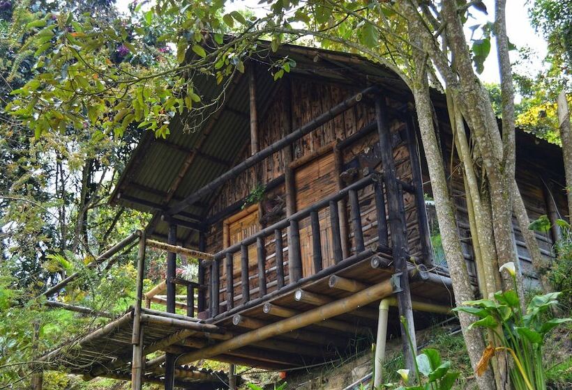 ホテル Cabañas Y Restaurante El Viejo Tambo