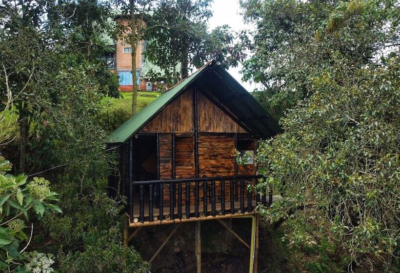 ホテル Cabañas Y Restaurante El Viejo Tambo