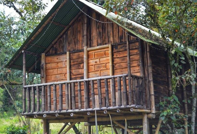 ホテル Cabañas Y Restaurante El Viejo Tambo