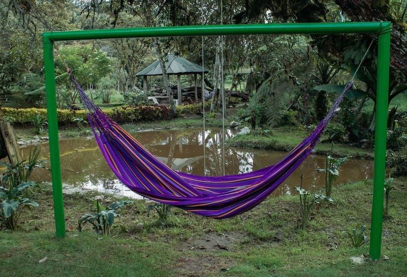 ホテル Cabañas Y Restaurante El Viejo Tambo