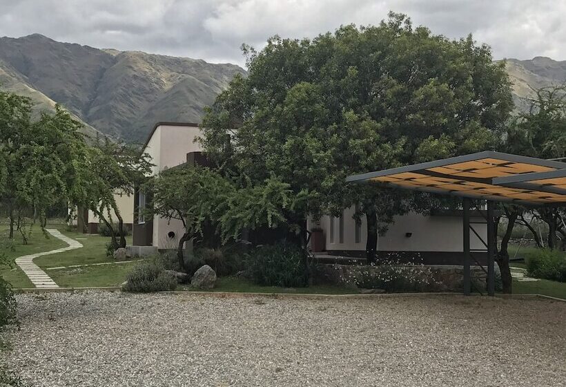 ホテル Cabanas Ambay