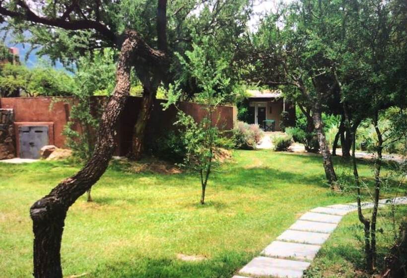 ホテル Cabanas Ambay