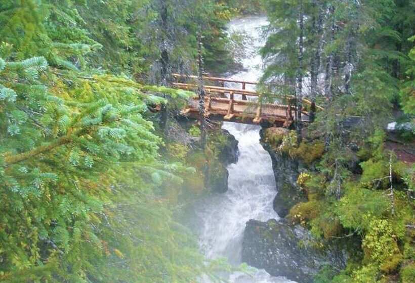 فندق Carriage House Accommodations