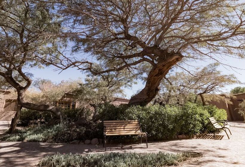 酒店 Casa Don Esteban