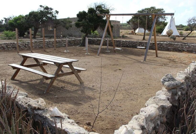 Отель Eco Resort Bonaire