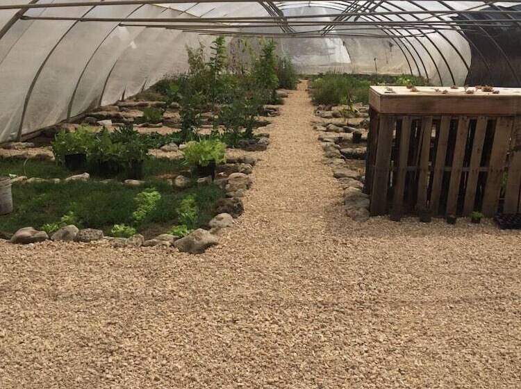 Отель Eco Resort Bonaire