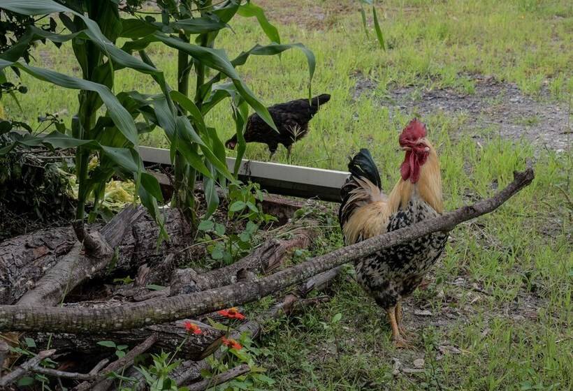 Отель Garden House