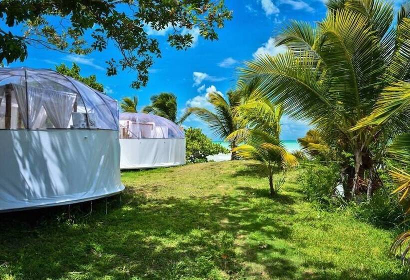 בית מלון כפרי Hacienda  Jadan