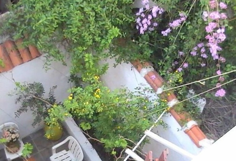 ホテル Hayat Altı Konuk Evi