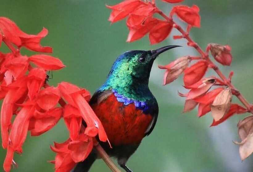 هتل Kluges Guest Farm