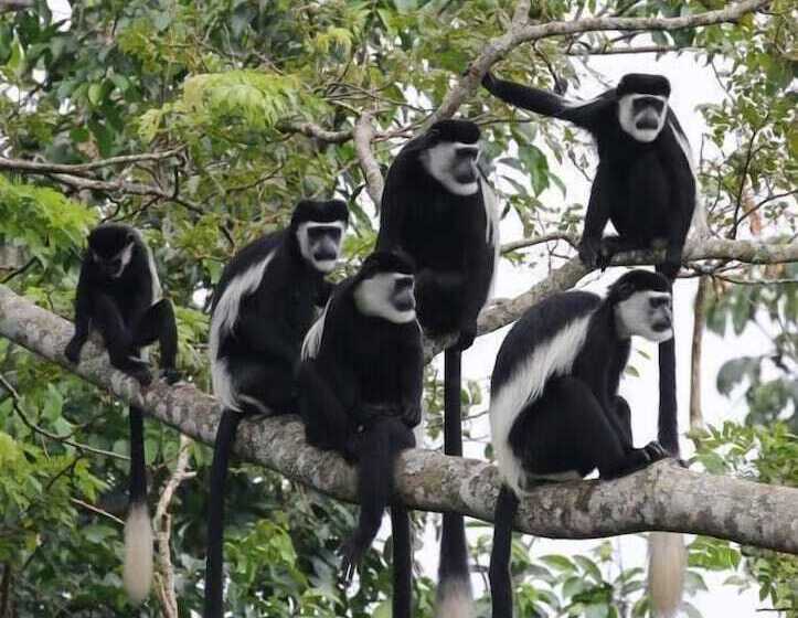 هتل Kluges Guest Farm