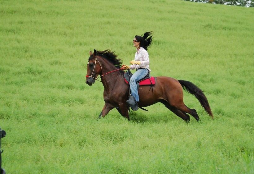 فندق La Finca Lodge