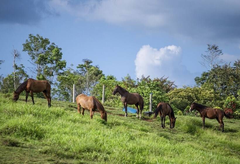 فندق La Finca Lodge