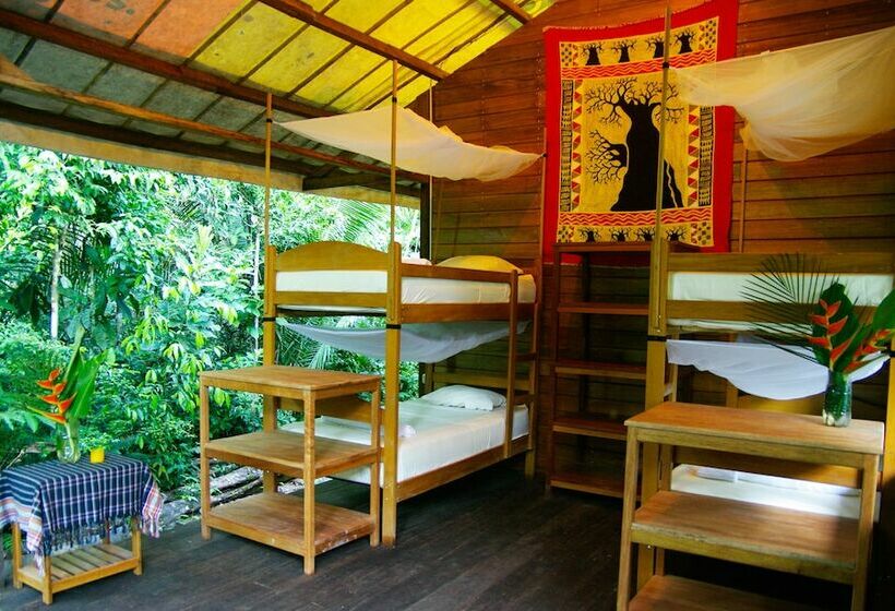 هتل Las Piedras Amazon Center