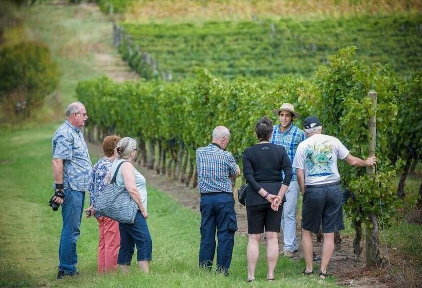 فندق Pizzorno Lodge & Wine