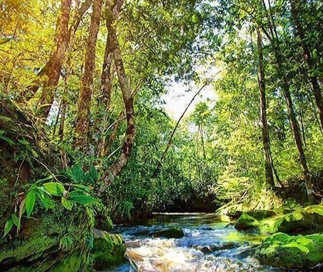 ホテル Pousada Aldeia Mari Mari Amazon Lodge