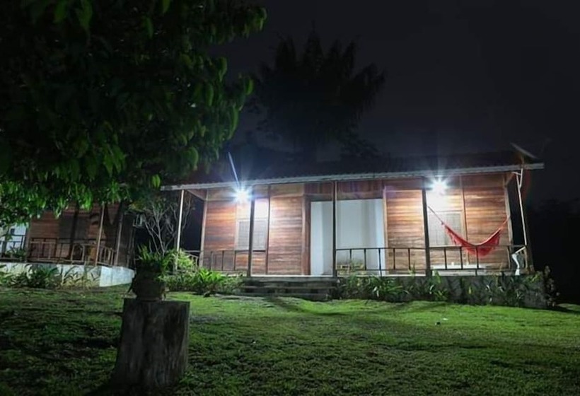 ホテル Pousada Aldeia Mari Mari Amazon Lodge