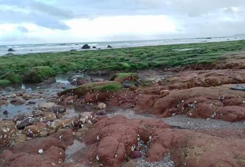 Отель Pousada Canaa