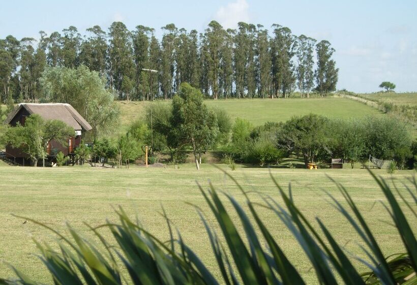 Отель Punta Pueblo