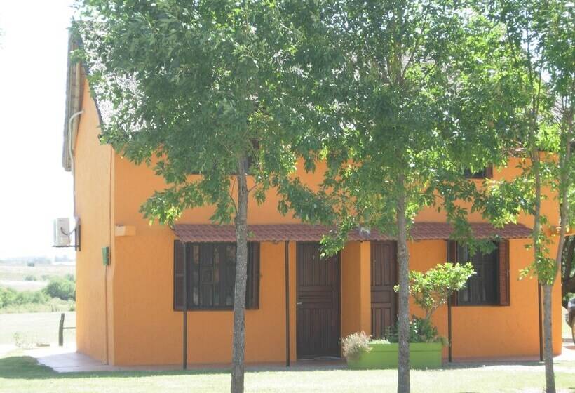 Отель Punta Pueblo