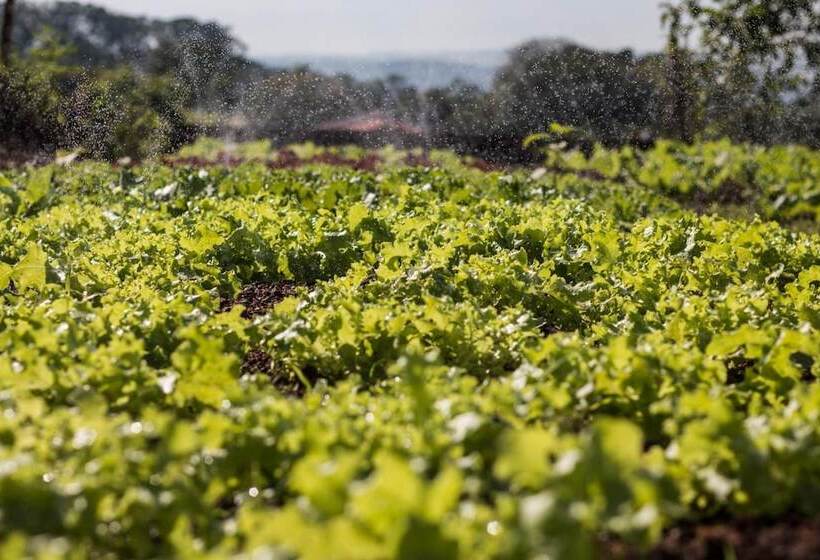 فندق ريفى Fazenda Santa Teresa Hotel & Spa