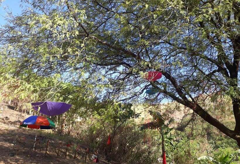 בית מלון כפרי Singalong Nature Camphill Site