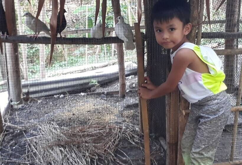 בית מלון כפרי Singalong Nature Camphill Site