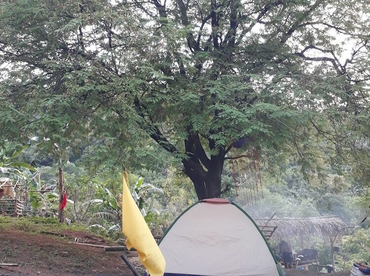 בית מלון כפרי Singalong Nature Camphill Site