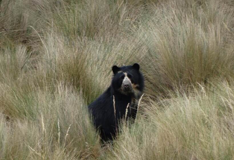 هتل Sol De Piedra Papallacta
