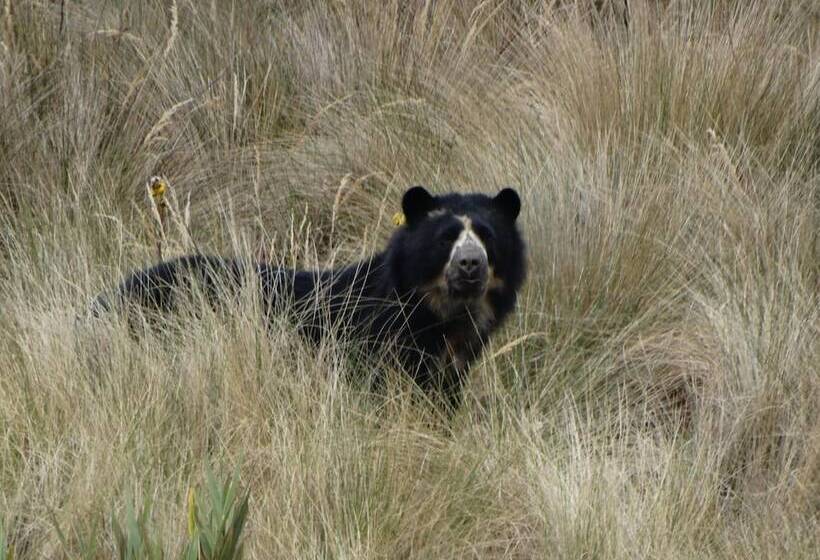 هتل Sol De Piedra Papallacta