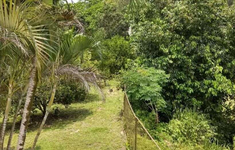 ホテル Spa Excalibur