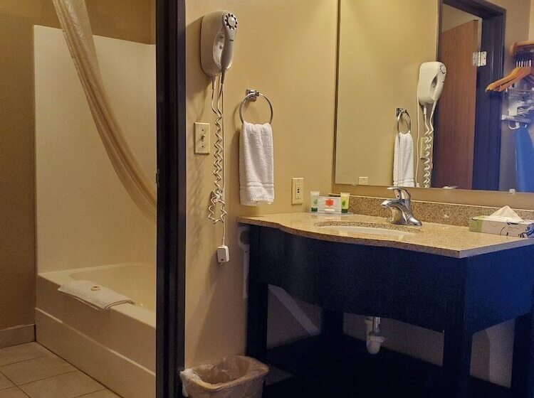 酒店 Victorian Inn