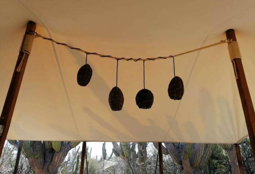 בית מלון כפרי Wind Rider Club