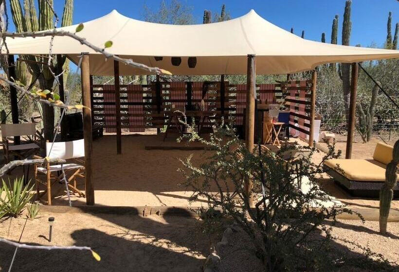 בית מלון כפרי Wind Rider Club