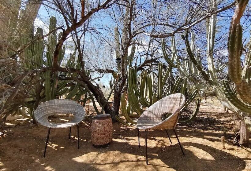 בית מלון כפרי Wind Rider Club