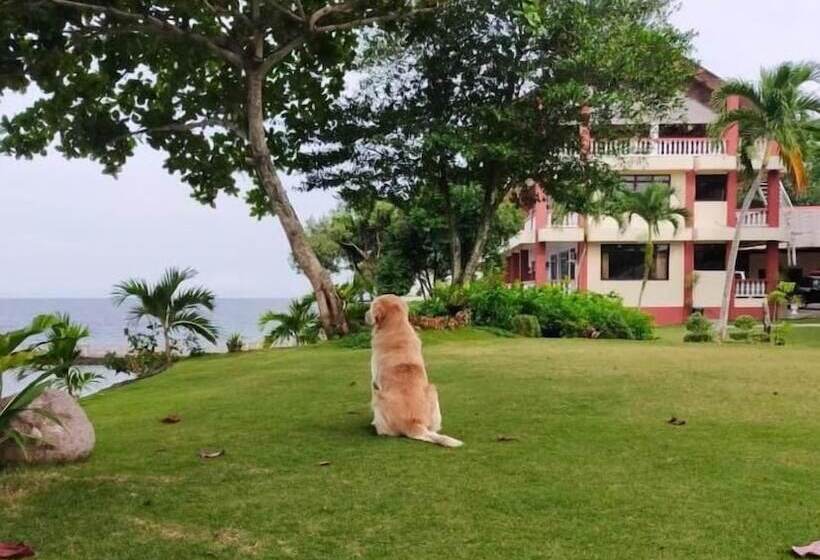 هتل Wuthering Heights Bed And Breakfast