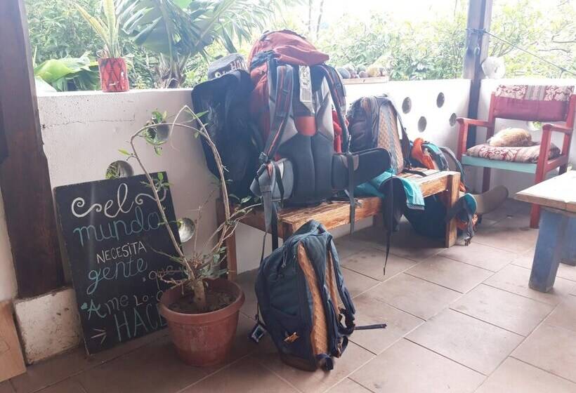 La Casa De Matilda   Hostel