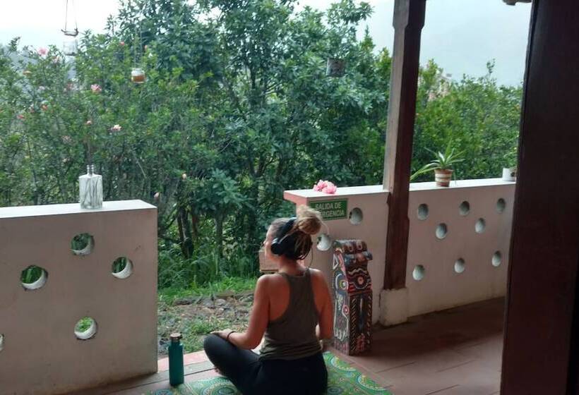 La Casa De Matilda   Hostel