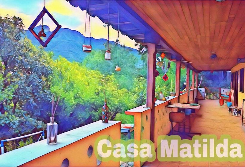 La Casa De Matilda   Hostel