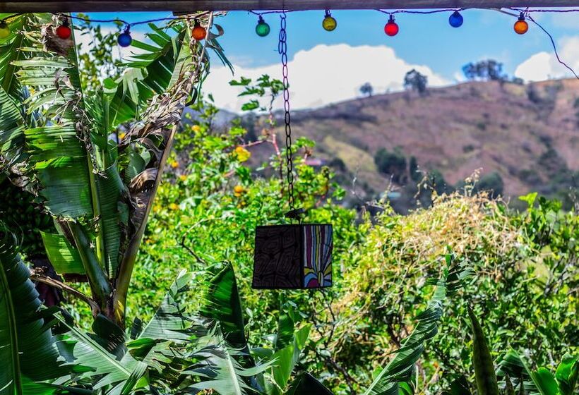 La Casa De Matilda   Hostel