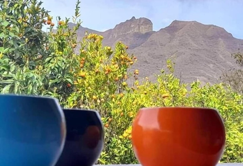 La Casa De Matilda   Hostel