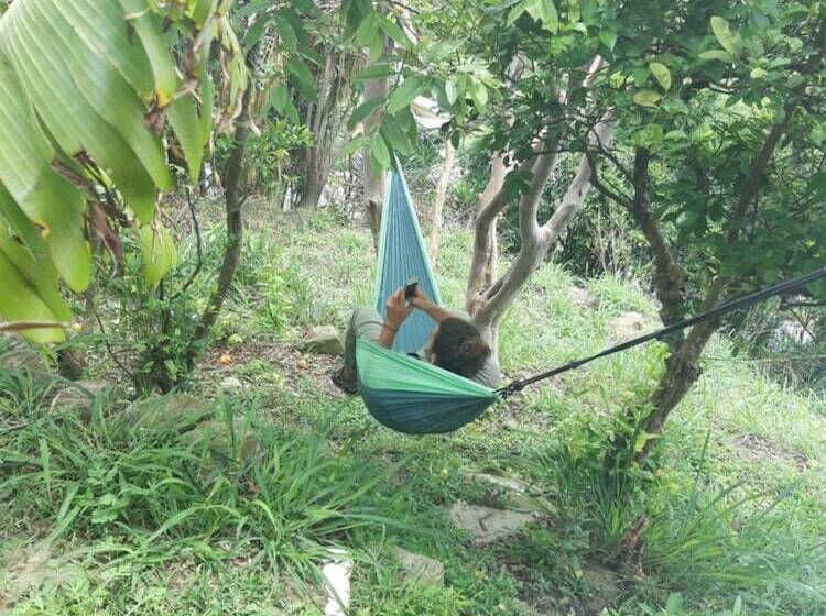 La Casa De Matilda   Hostel