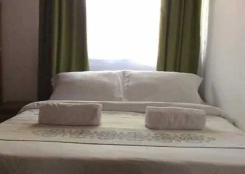 Palm Tree Hostal Medellin   Hostel