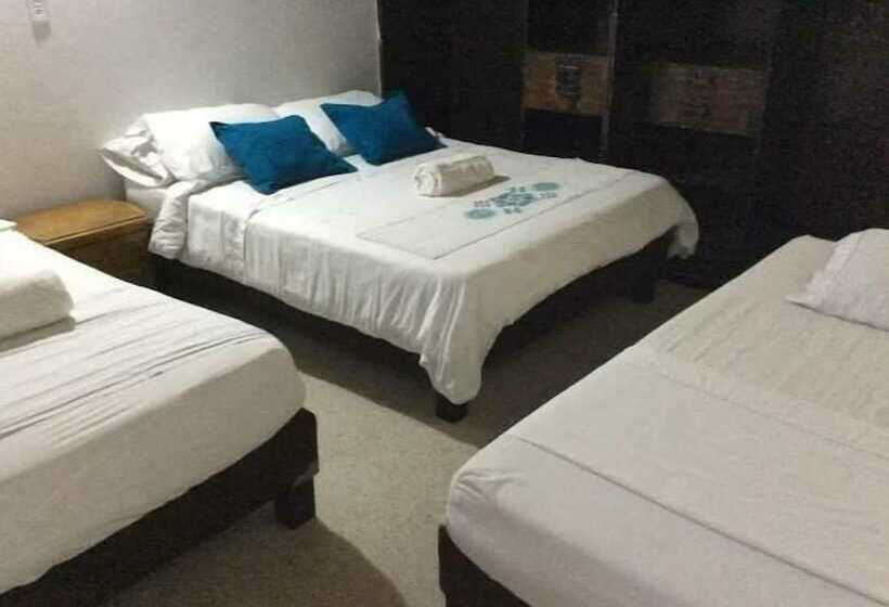 Palm Tree Hostal Medellin   Hostel