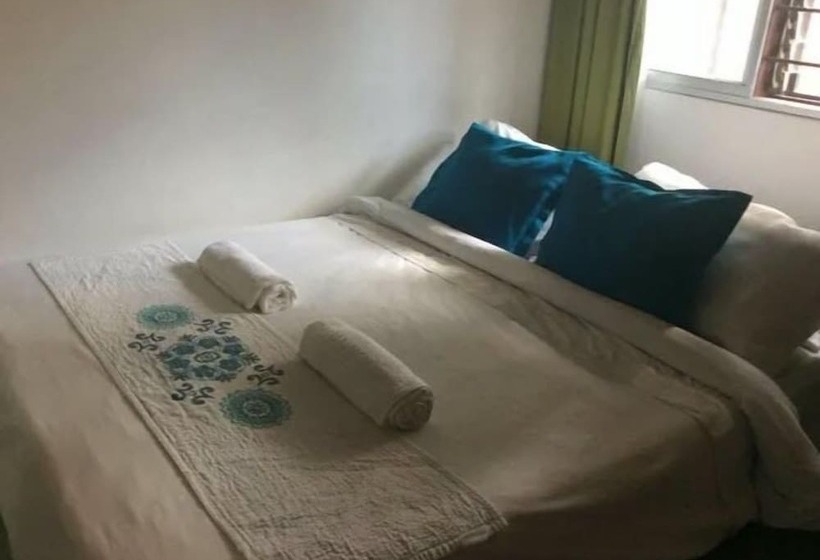 Palm Tree Hostal Medellin   Hostel