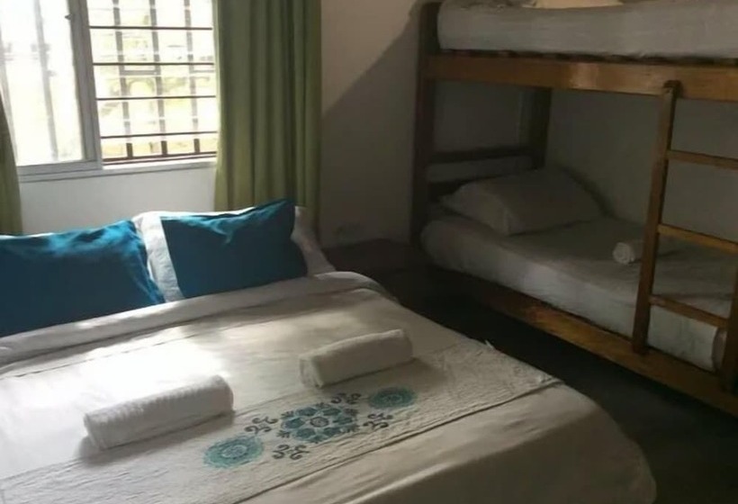 Palm Tree Hostal Medellin   Hostel