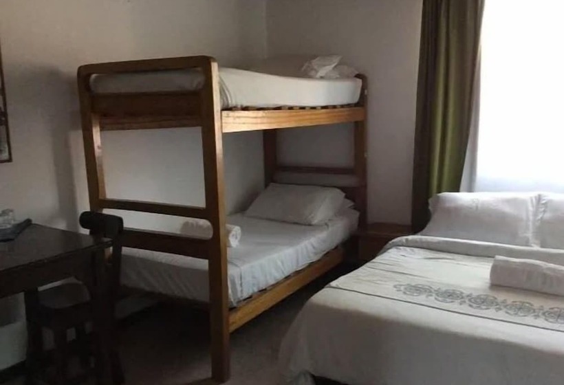 Palm Tree Hostal Medellin   Hostel