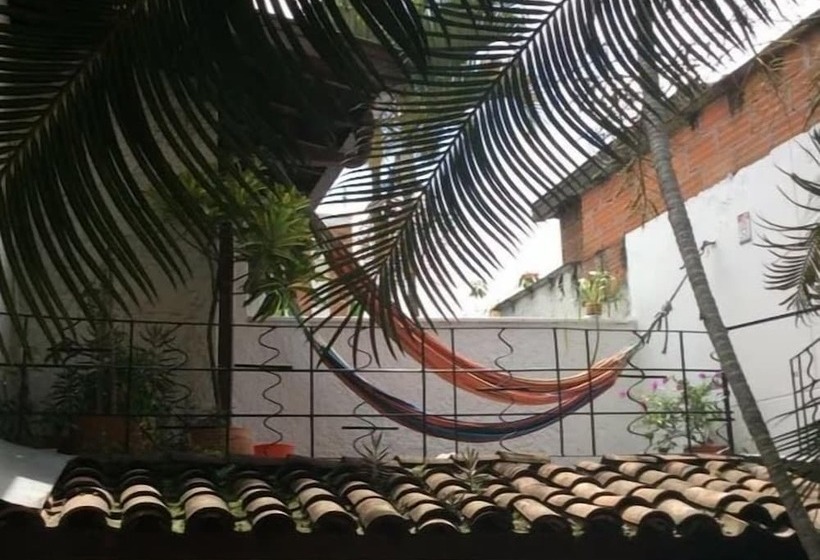 Palm Tree Hostal Medellin   Hostel