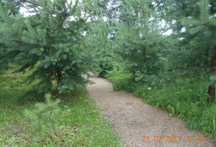 Park Hotel Diyevo Gorodishche